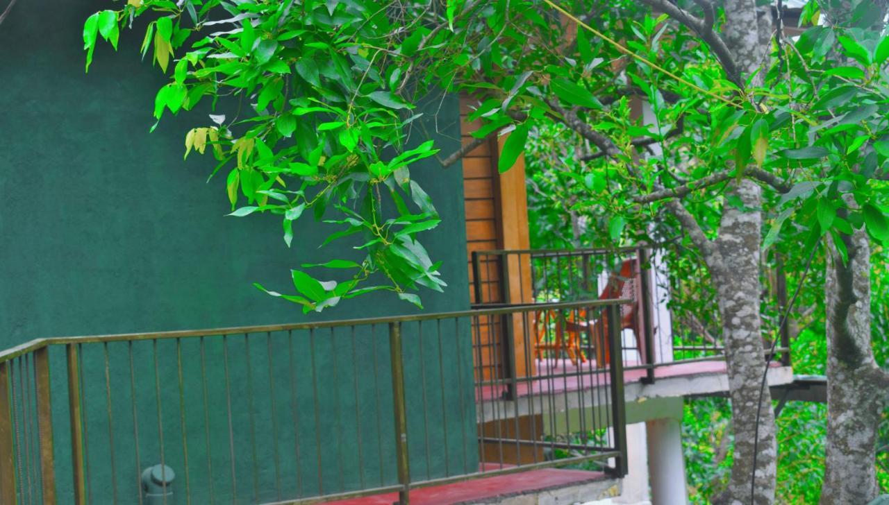 Green Cottage Елла Екстер'єр фото